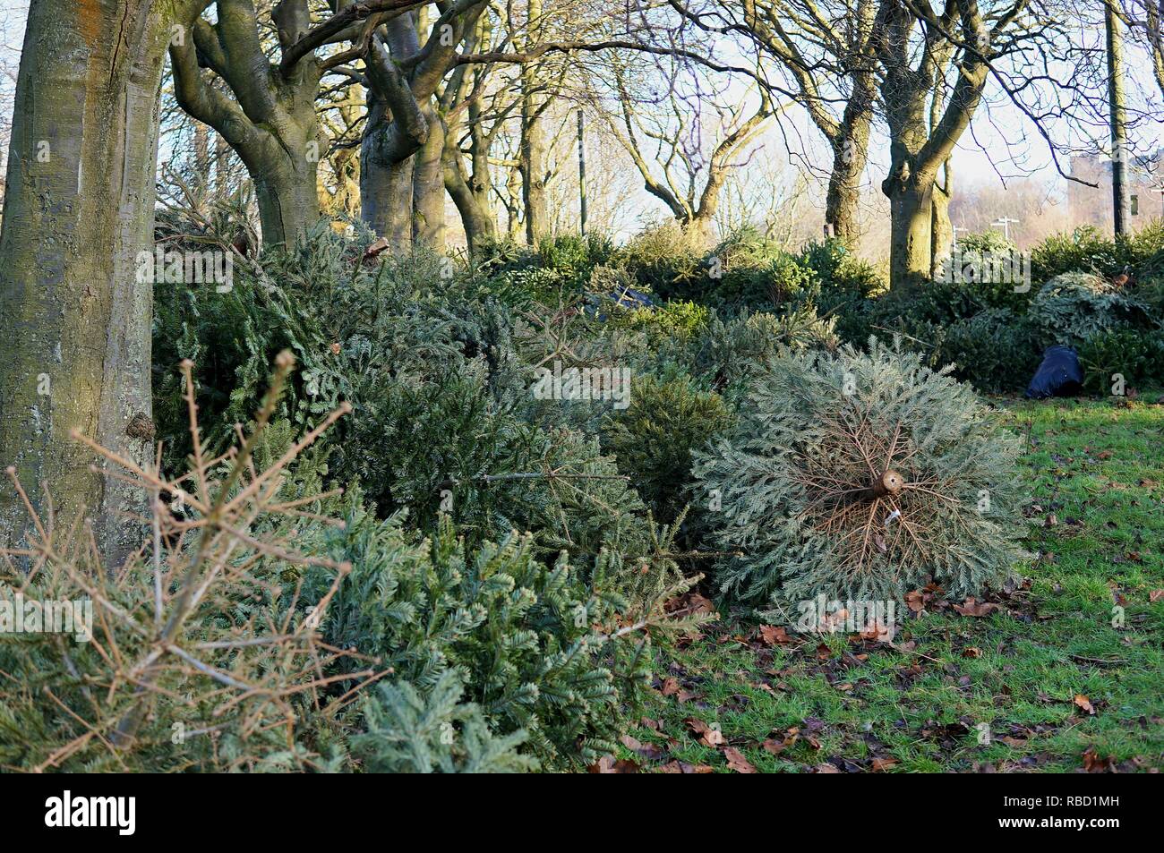 Council collection hires stock photography and images Alamy