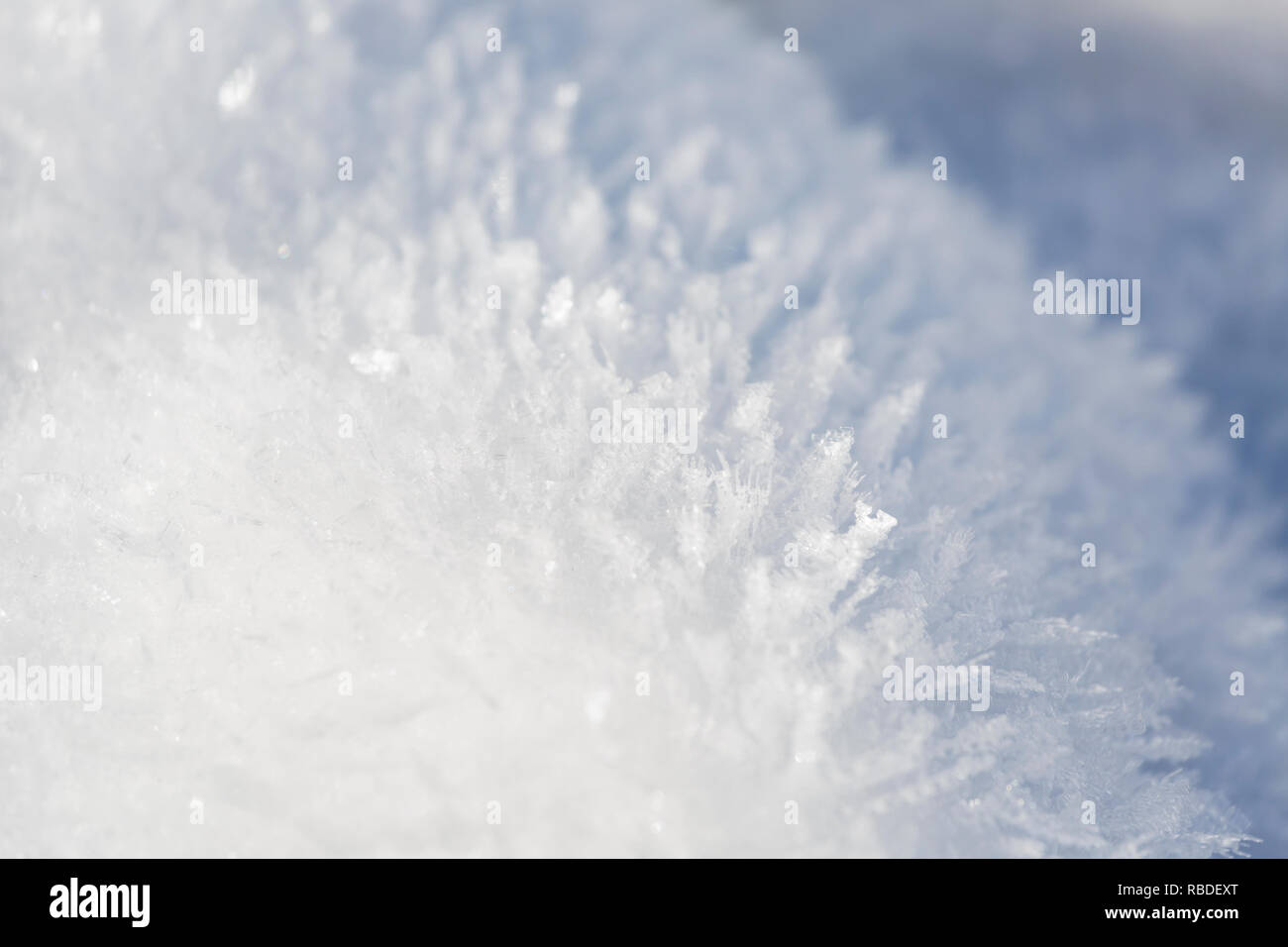 Complex glittering ice flowers on snow after a freezing night in the Eifel, Germany. Stock Photo