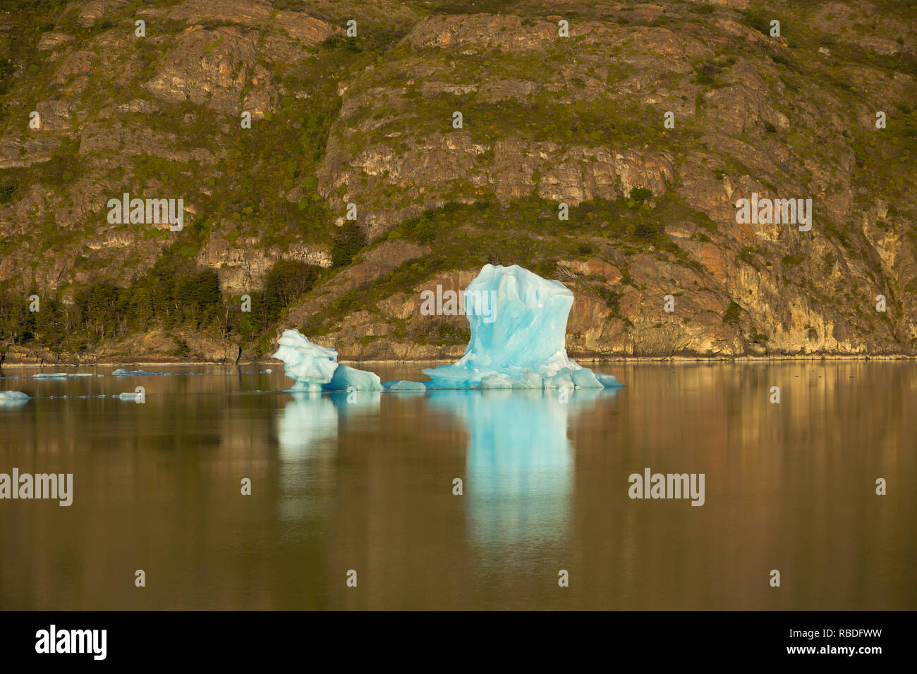 An iceberg floating in a lake in Los Glaciares National Park in Chile. Stock Photo