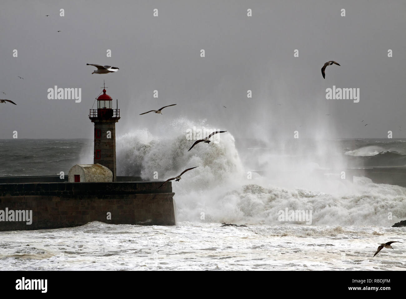 Storm with strong waves in the Portuguese coast Stock Photo