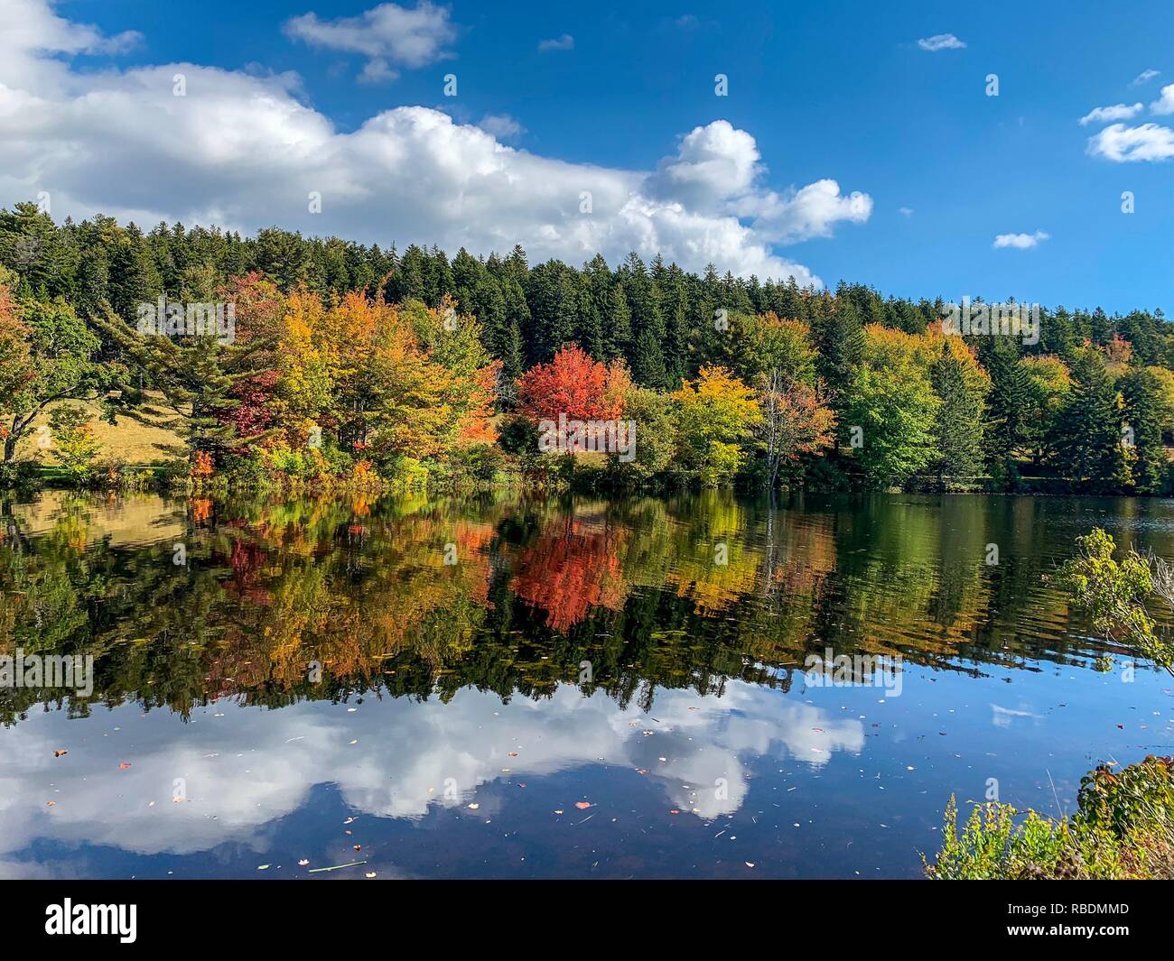 Autumn colors landscape Stock Photo - Alamy