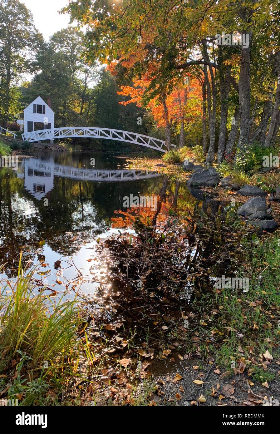 Autumn colors landscape Stock Photo - Alamy