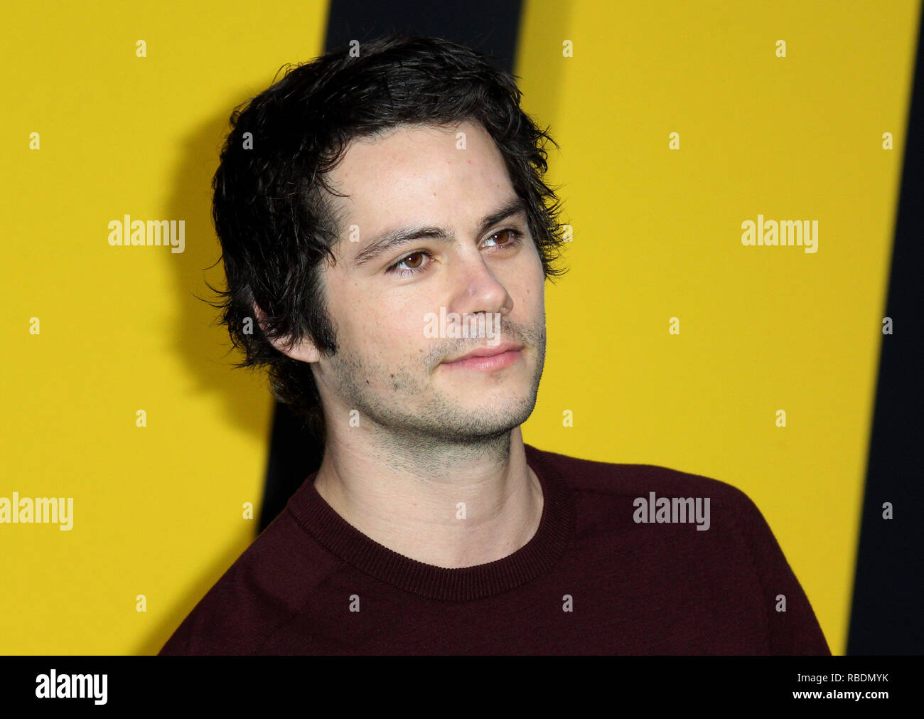 Bumblebee Premiere held at the TCL Chinese Theatre in Los Angeles