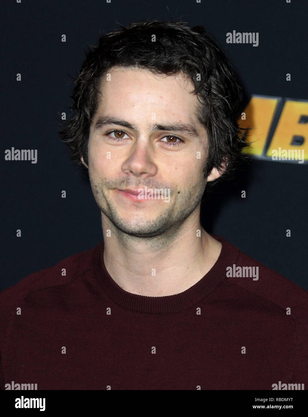 Bumblebee Premiere held at the TCL Chinese Theatre in Los Angeles