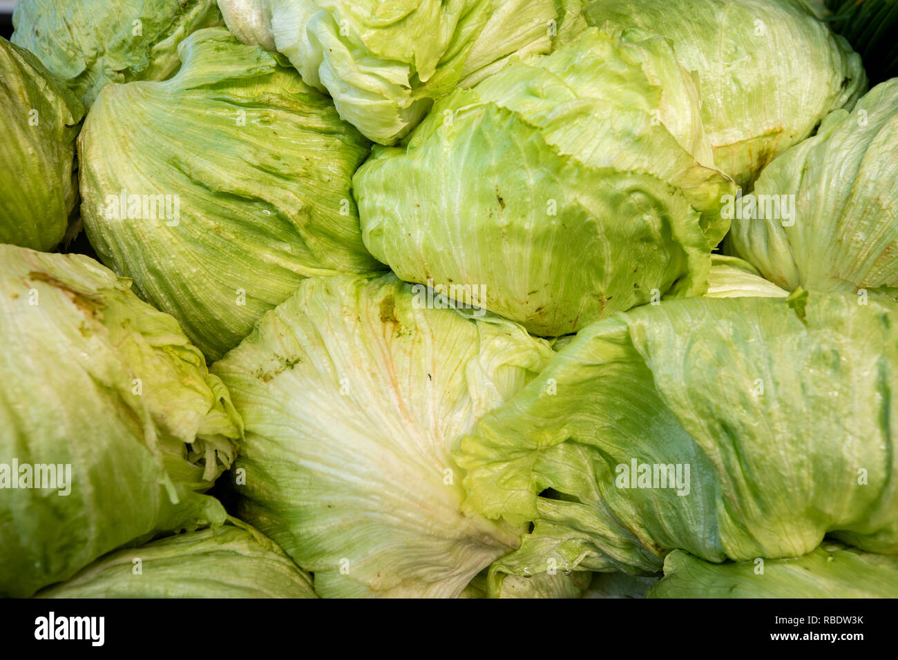 Iceberg lettuce. Vegetables produced in Mexico.  Picture taken in a street market. Tlacolula municipality, Oaxaca, Mexico. Stock Photo