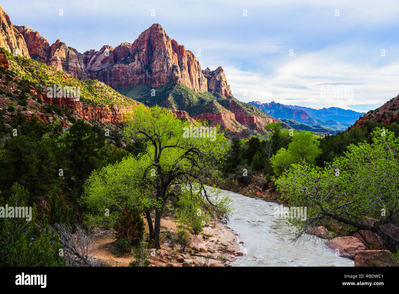 Scenic views of Zions National Park Stock Photo - Alamy