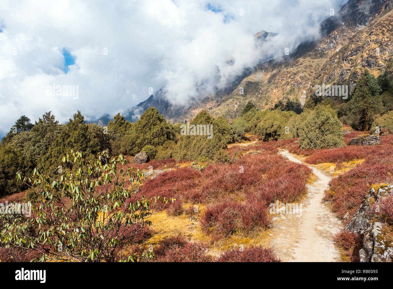 Section of the Gosaikunda Trek between the Laurebina Pass and Thadepati (Tharepati / Thare Pati ) Stock Photo