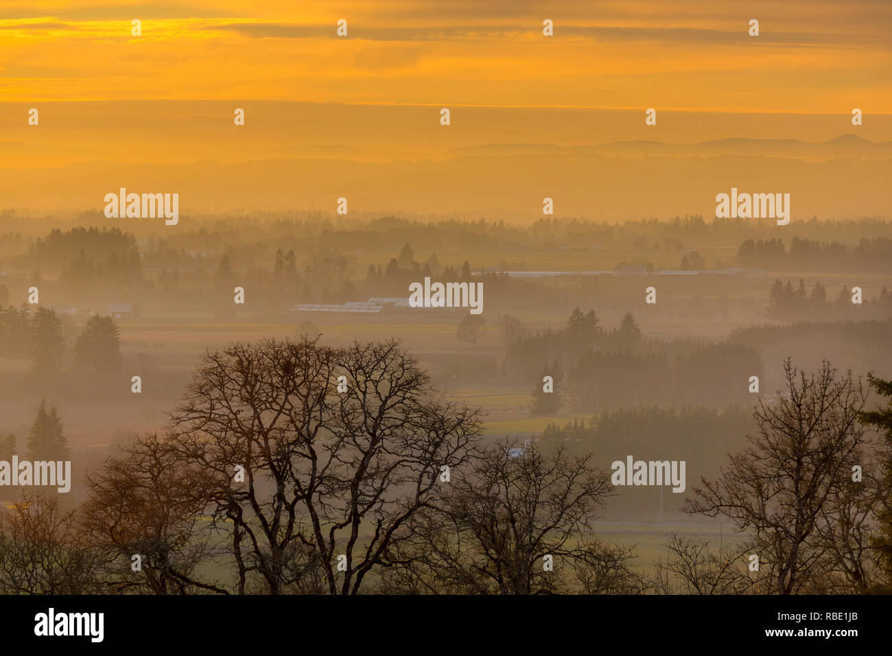 Golden sunset over farmland in rural Oregon during winter Stock Photo