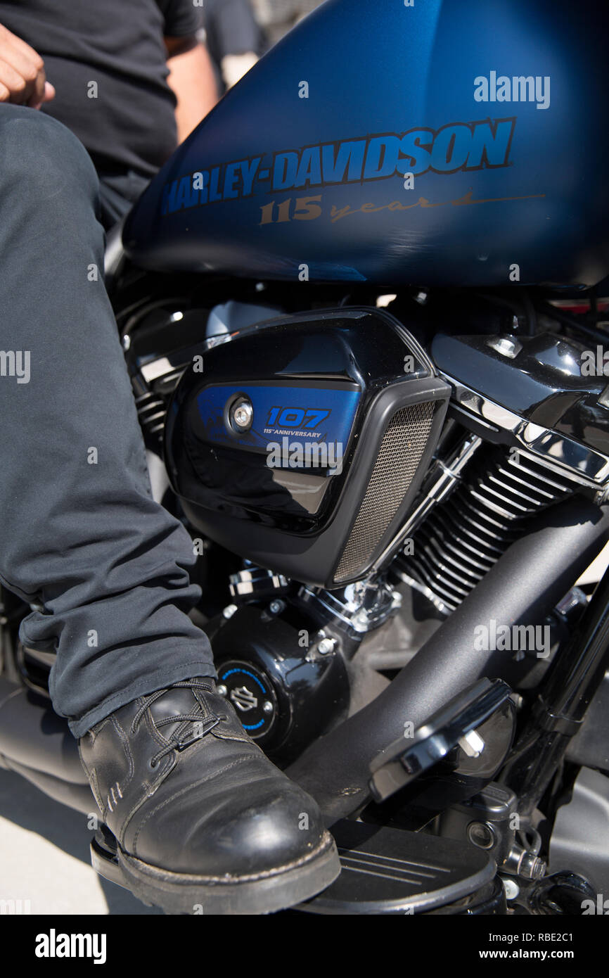 Close up of the gas tank on a special edition 115th Anniversary Harley-Davidson motorcycle Stock Photo