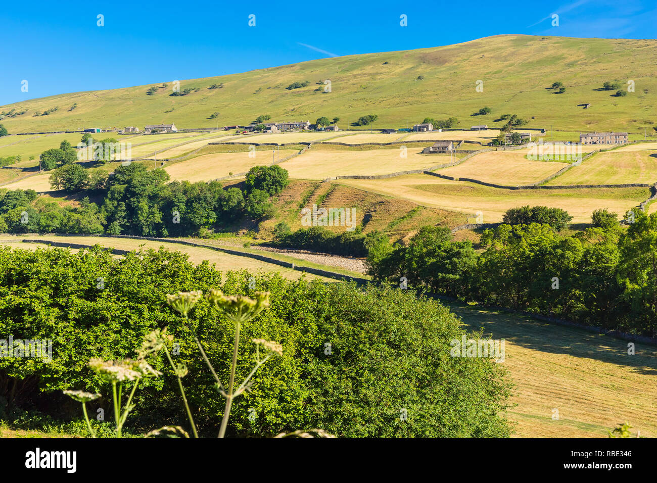 Yorkshire Dales,UK,England, 2018. Agricultural landscape of the Yorkshire Dales during one of the hottest summers on record with no rainfall.Landscape Stock Photo