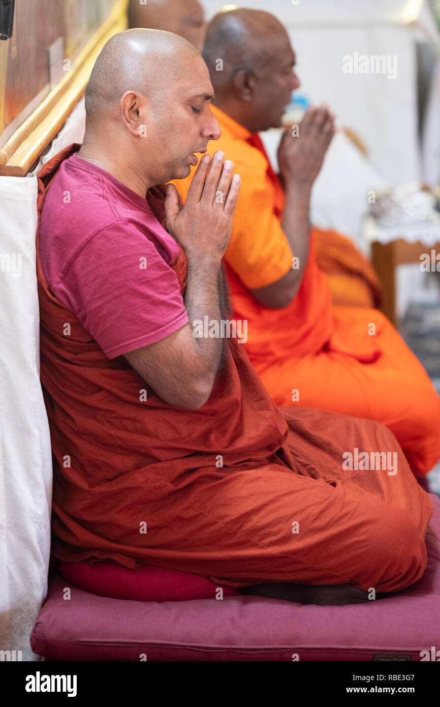 Buddhist monks with hands clasped and in colorful robes pray and meditate at a temple in Queens Village, New York City. Stock Photo