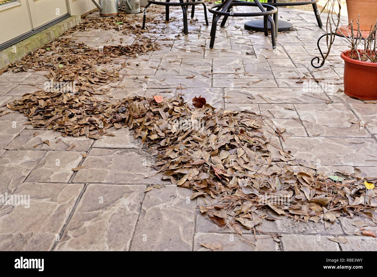 Pile of dead leaves on an outdoor patio. Stock Photo