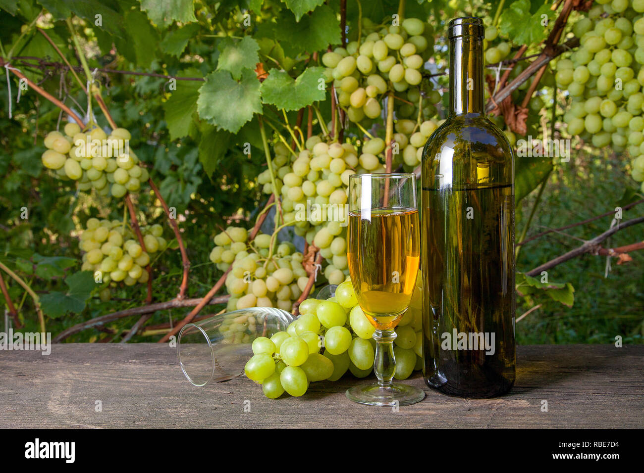 Glass of white wine and empty glass, grapes bunch and bottle of wine on ...