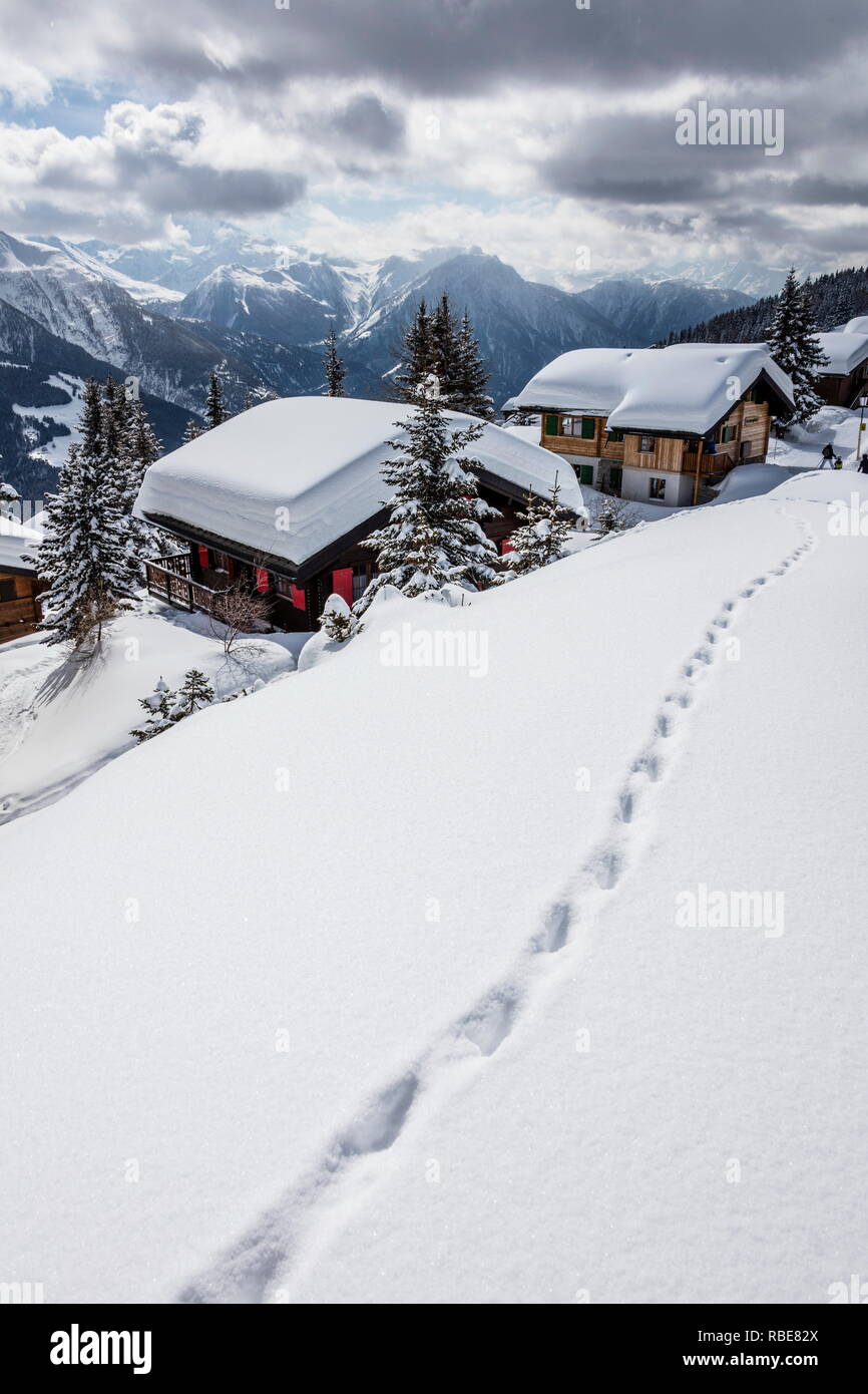 Footprints on the snow around the typical mountain huts Bettmeralp district of Raron canton of Valais Switzerland Europe Stock Photo