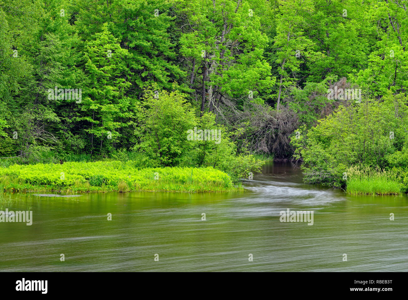 St croix national scenic riverway hi-res stock photography and images ...