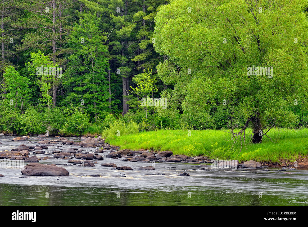 Boulders and rapids in the Kettle River, Minnesota Wildlife Connection, Sandstone, Minnesota