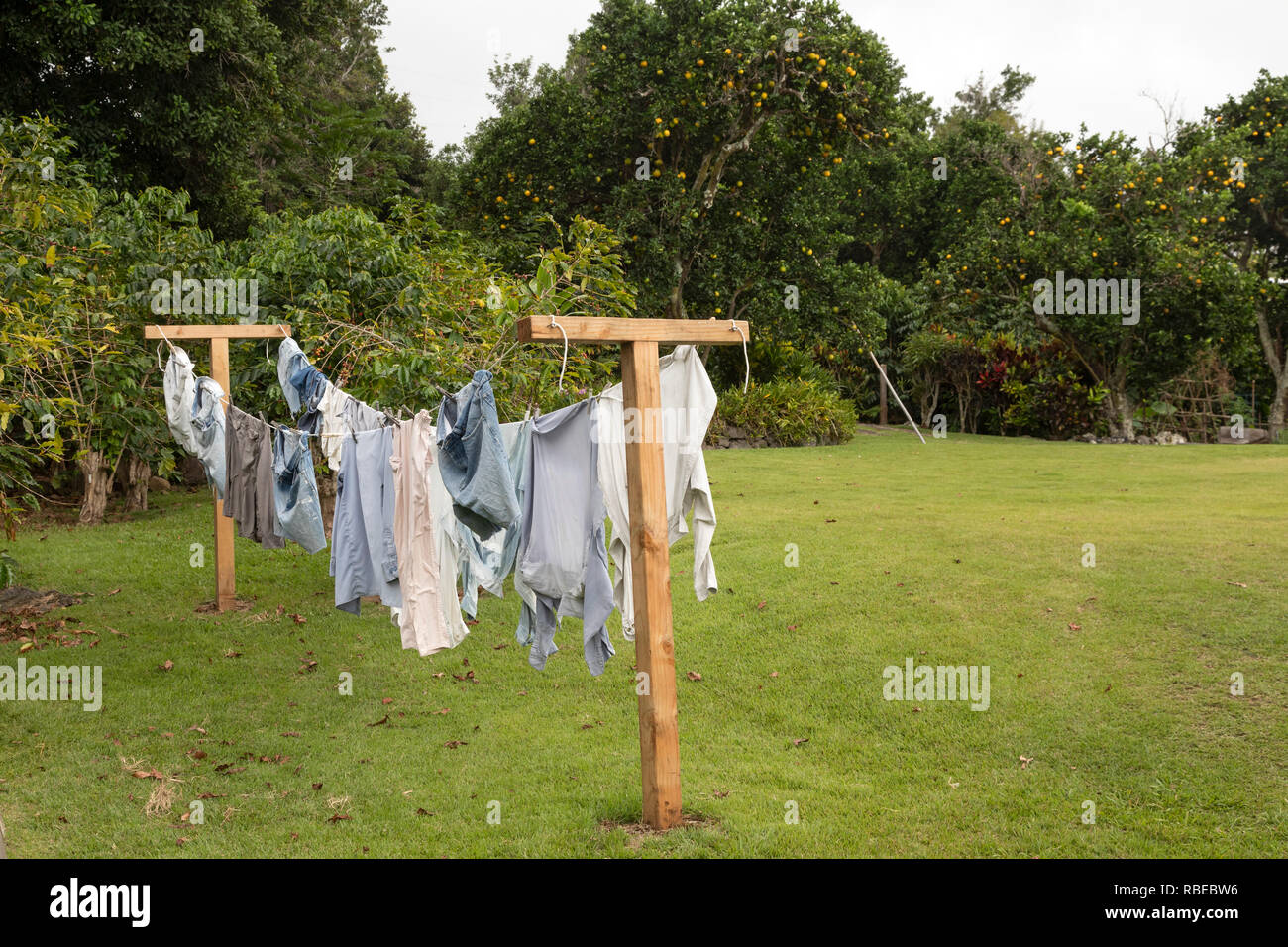 Captain Cook, Hawaii Laundry hanging on the clothesline at the Kona