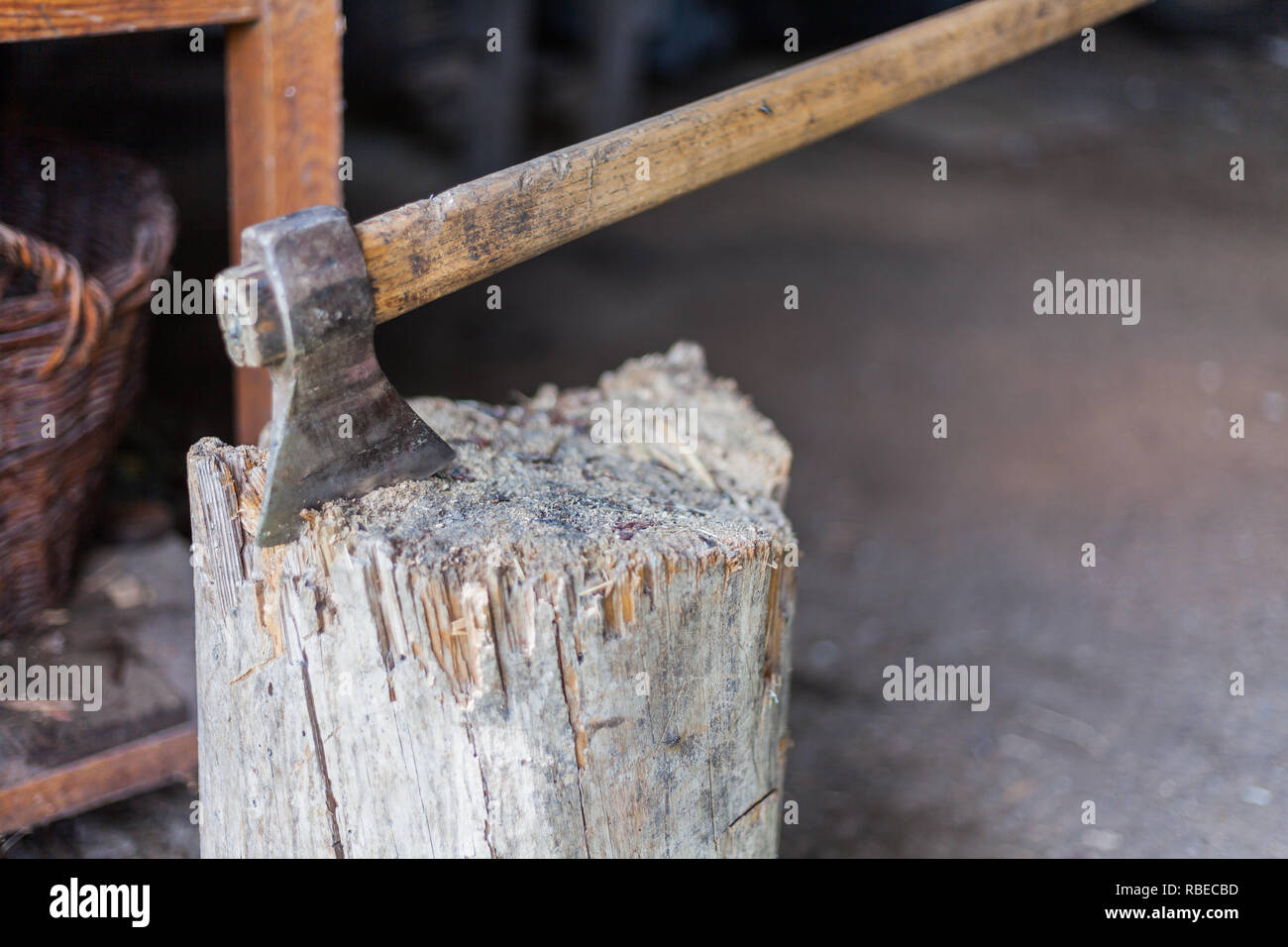 Old axe stuck in log. Cut logs fire wood and old axe. Renewable resource of a energy. Environmental concept Stock Photo
