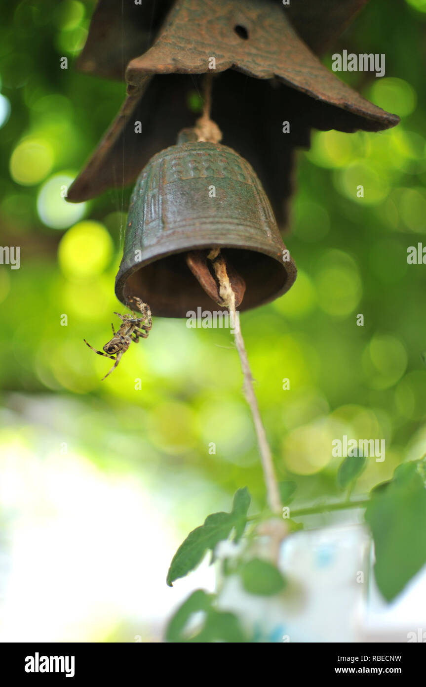 A spider climbing on a bell Stock Photo