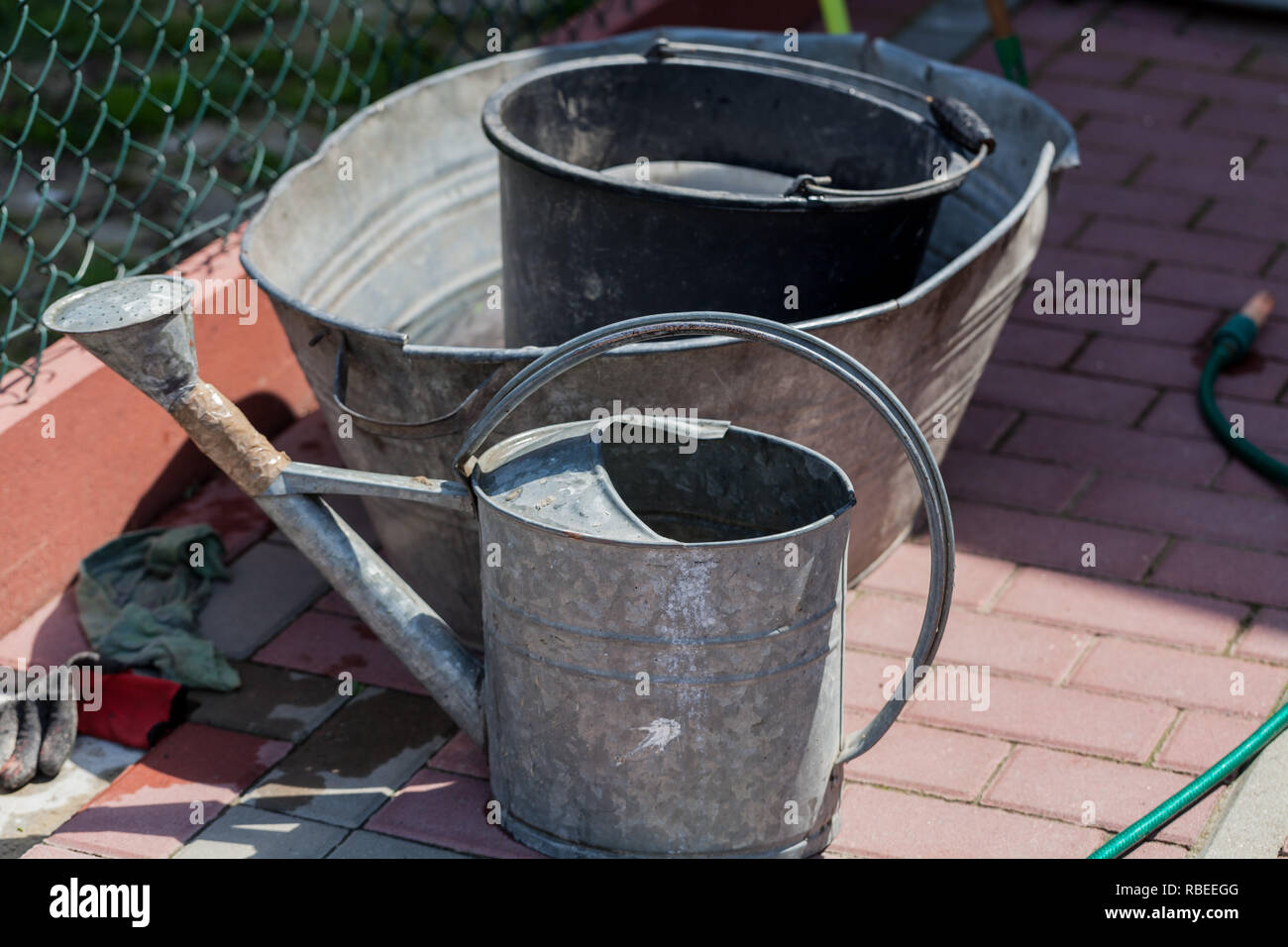 Watering buckets in the garden. Gardening concept image with metal