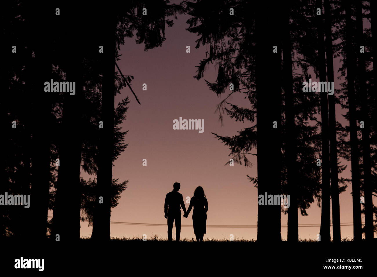 pic Sunset Two People Holding Hands Silhouette https www alamy com two people at sunset dusk holding hands near tall trees image230814869 html