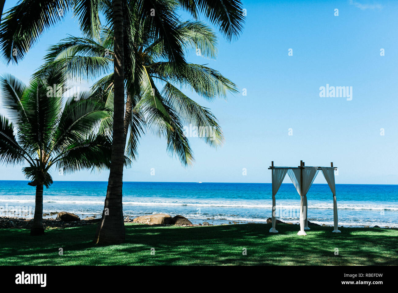 Hawaiian Wedding Ceremony Near Beach Stock Photo 230815477 Alamy
