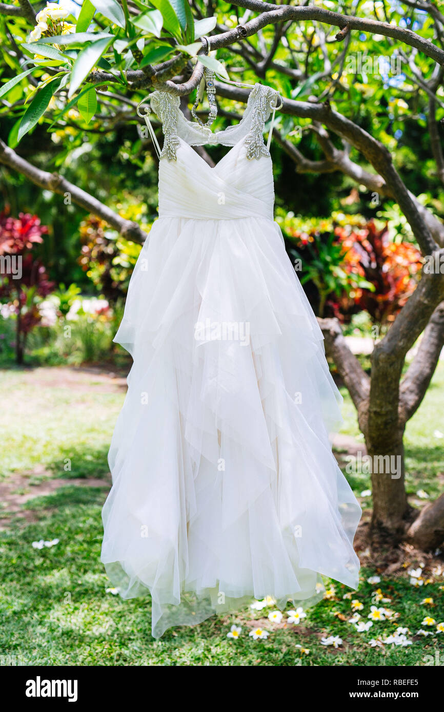 Wedding dress hanging on tree hi-res stock photography and images - Alamy
