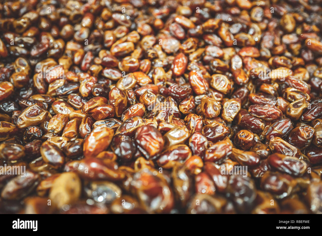 Selection of fresh delicious date fruits in Oman Stock Photo Alamy