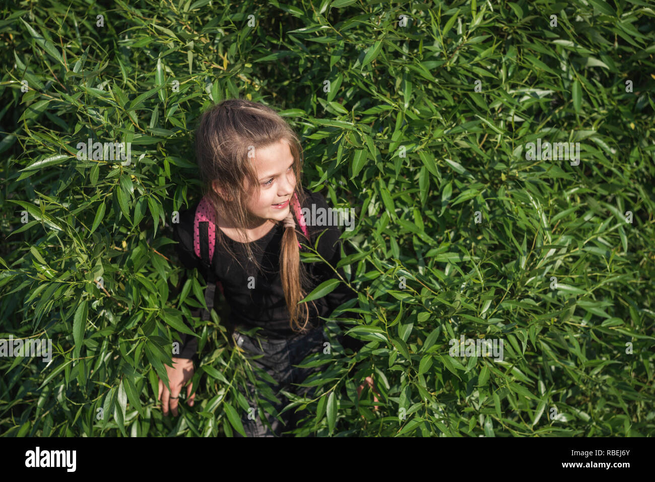 child girl playing hide-and-seek outdoors by sunny day Stock Photo