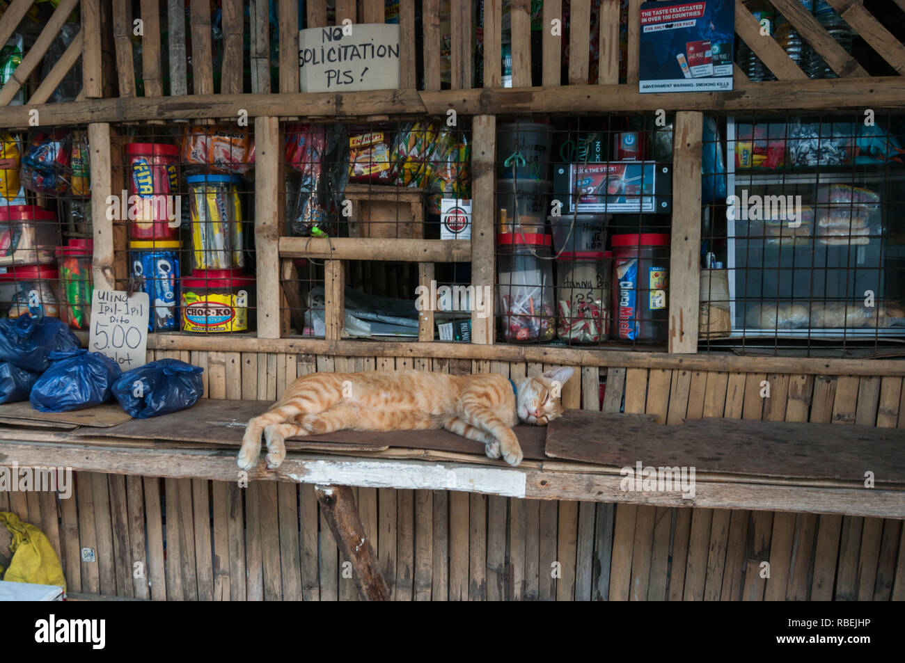 Side view of healthy looking feline wearing pet collar taking a cat nap on perch at a store where business appears slow in the Philippines. Stock Photo