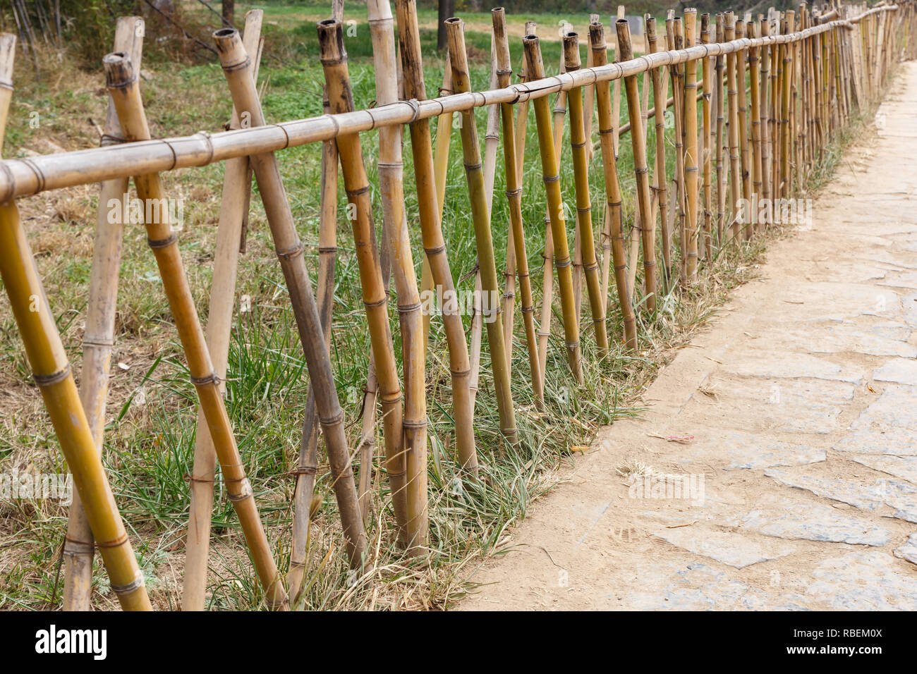 Bamboo fence along a footpath in a park Stock Photo