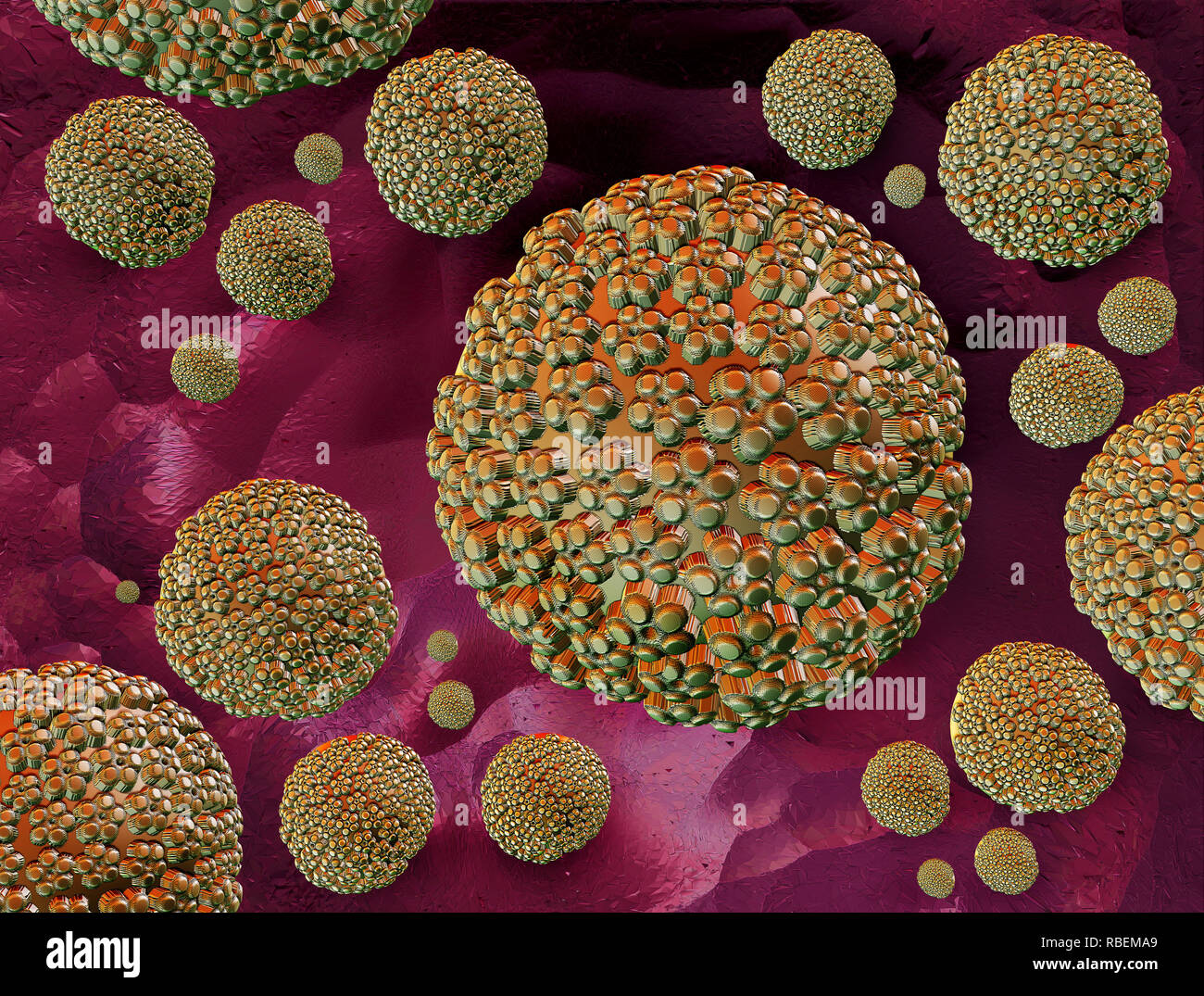 Illustrations Human papillomaviruses Stock Photo