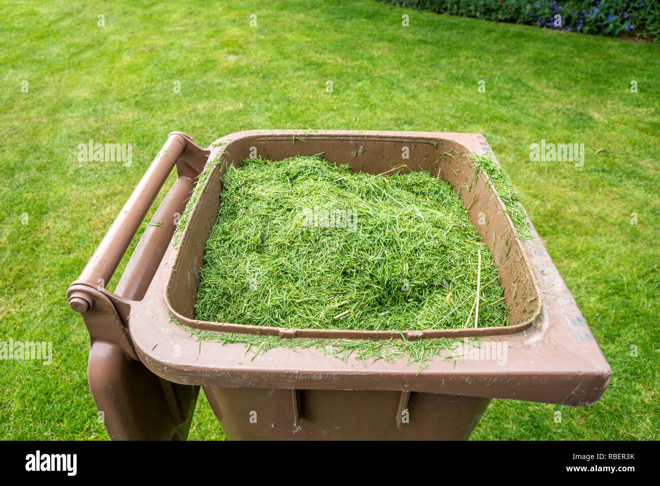 grass cutting, bin Stock Photo