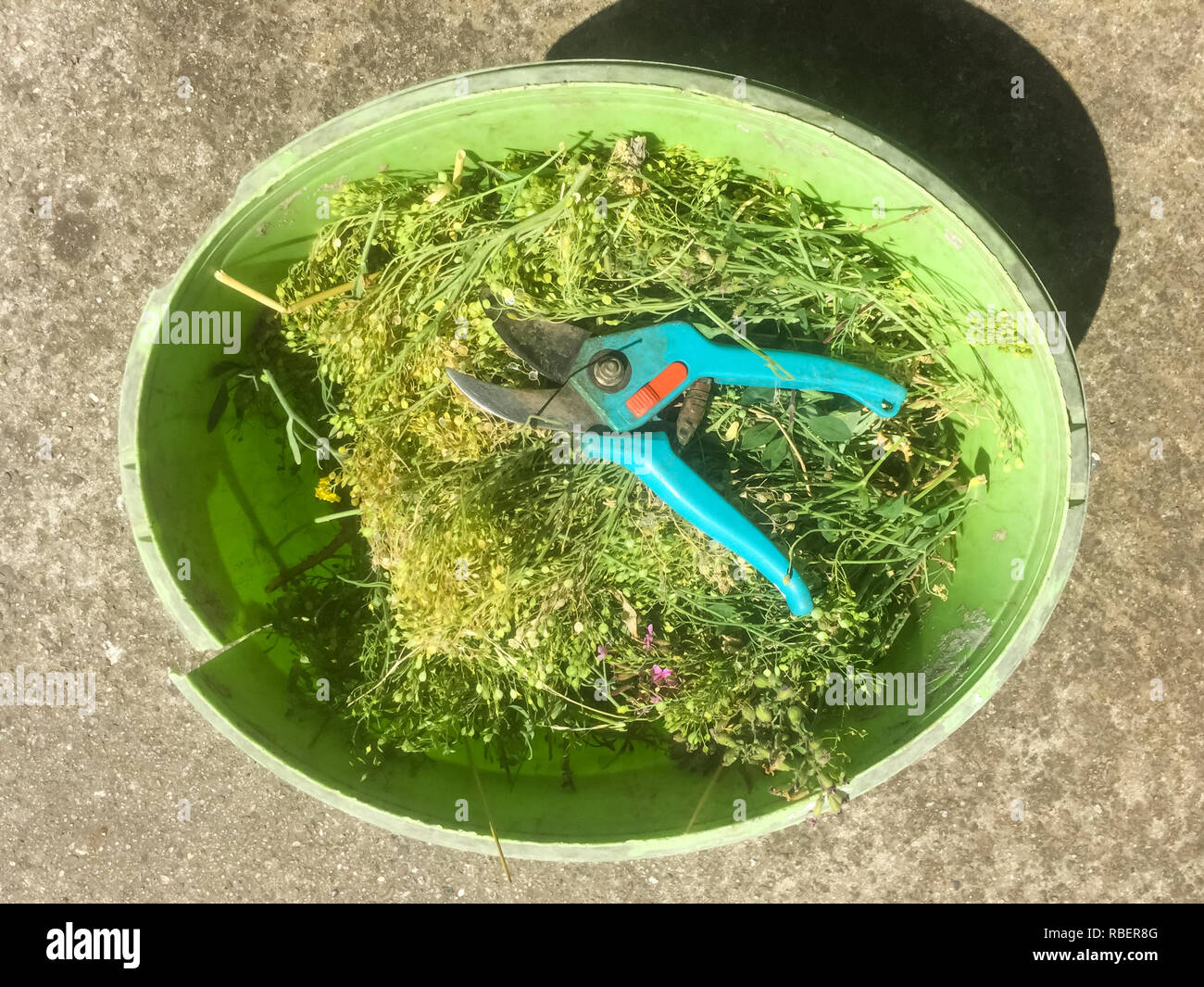 Gardening Stock Photo