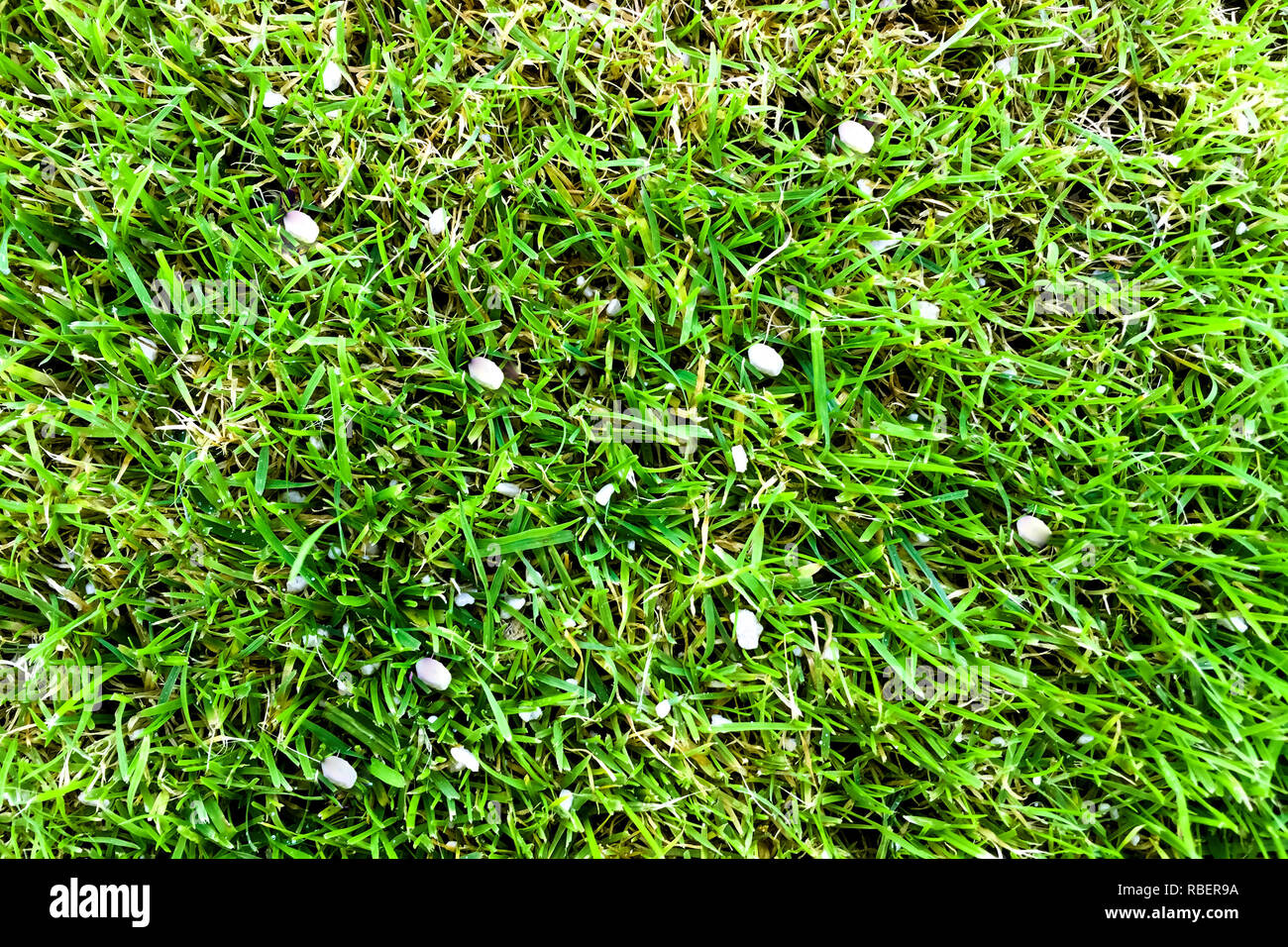 Lawn, fertilizer Stock Photo