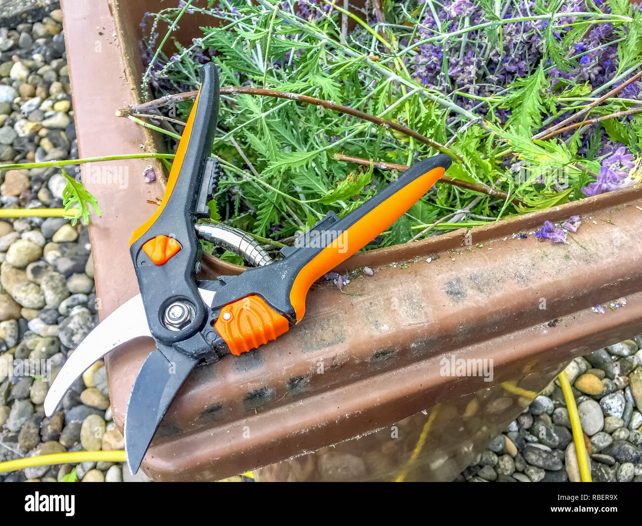 Gardening Stock Photo