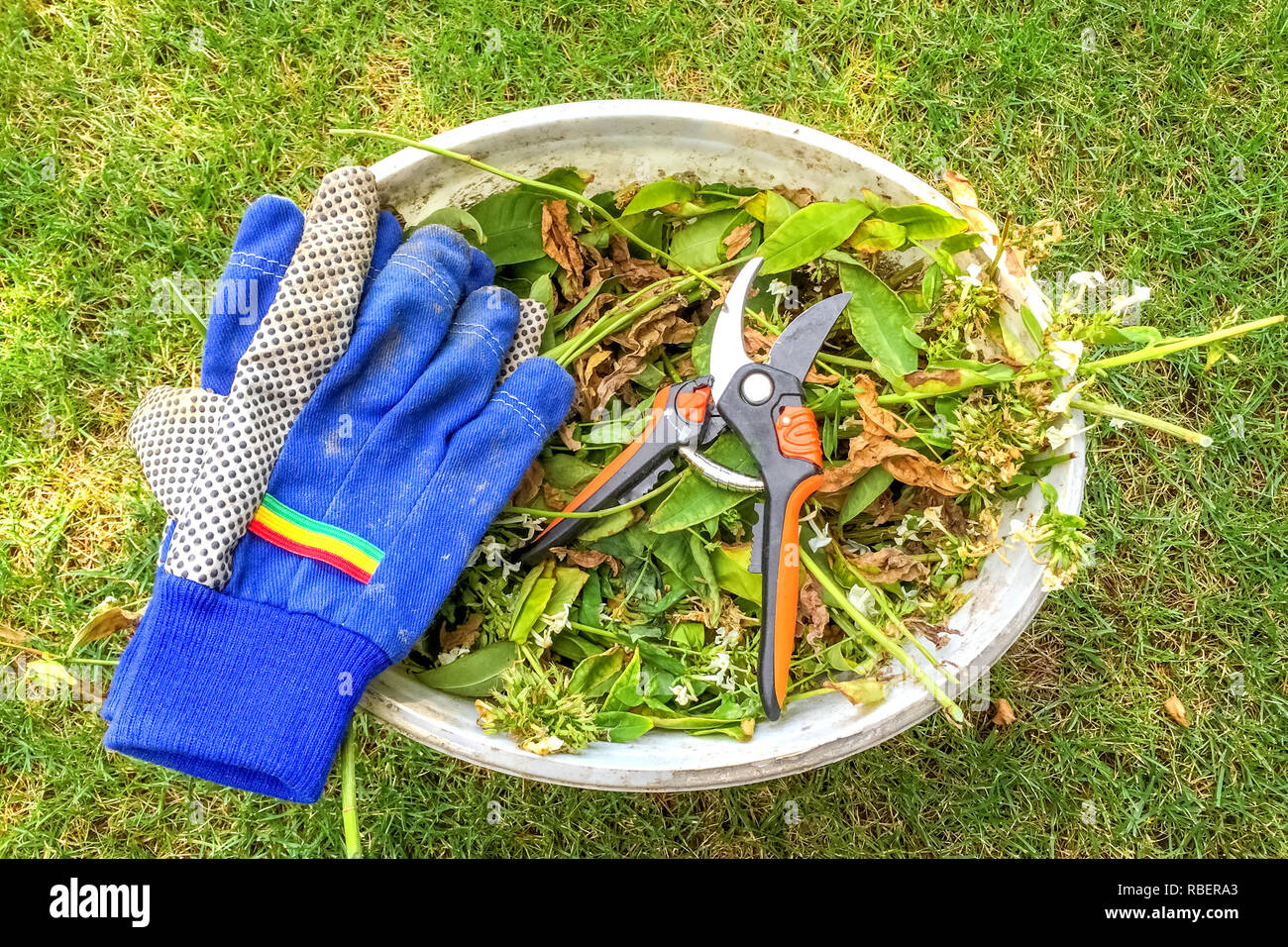 Gardening Stock Photo