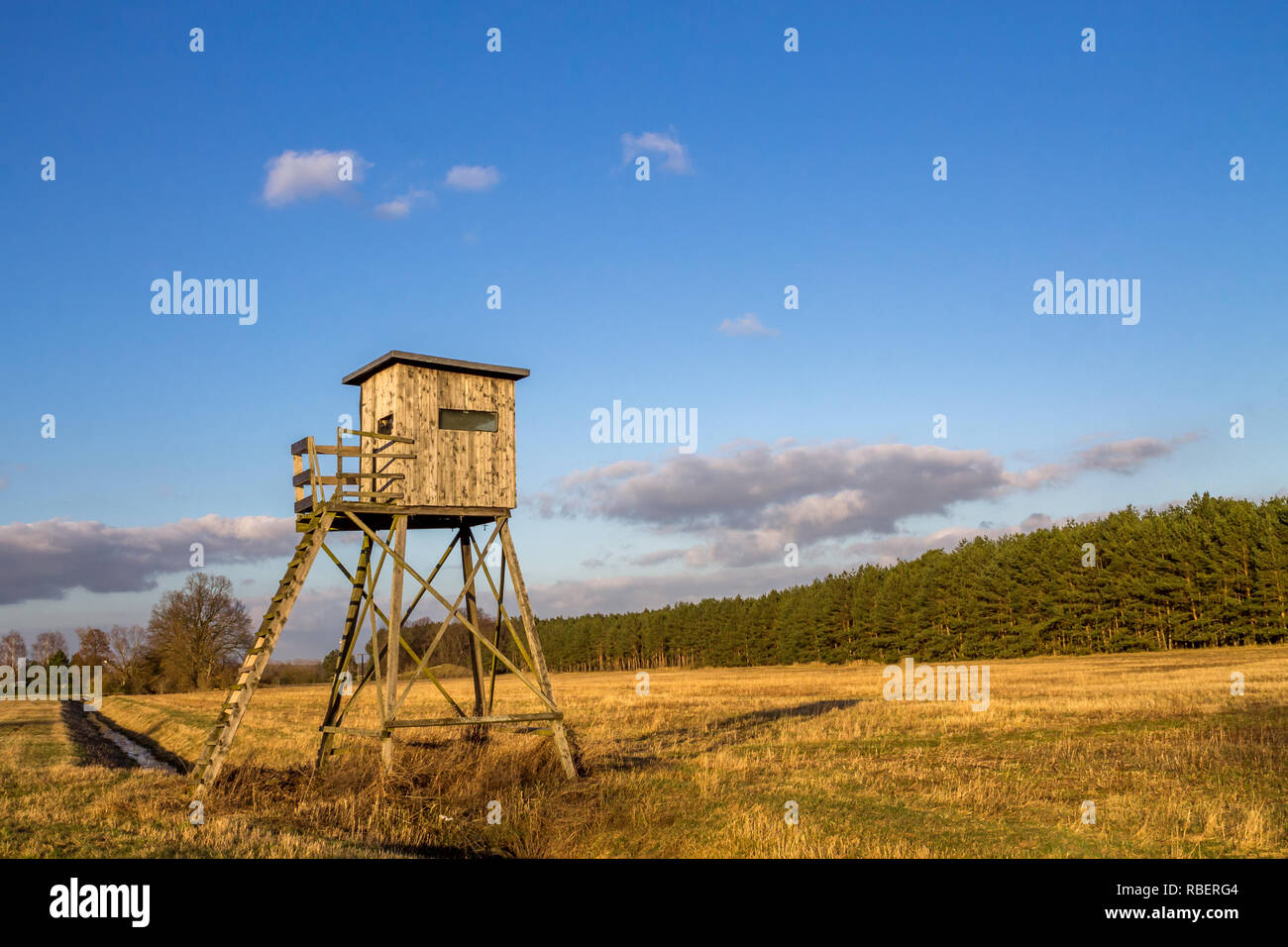 hilltop, edge of the forest, Stock Photo