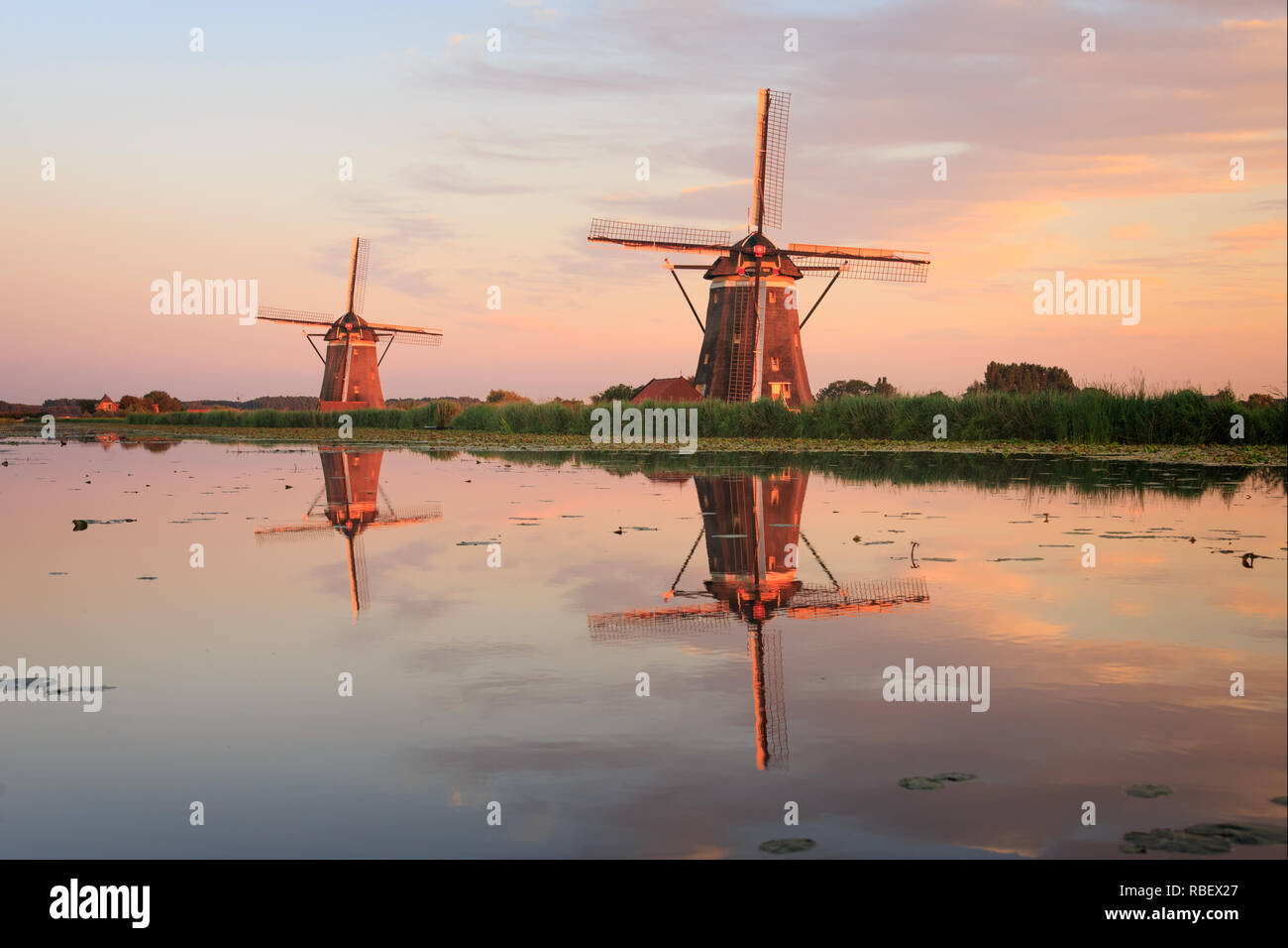 Summer evening sunset in the dutch countryside with the reflection of two traditional thatched windmills in the water in Leidschendam, the Netherlands Stock Photo