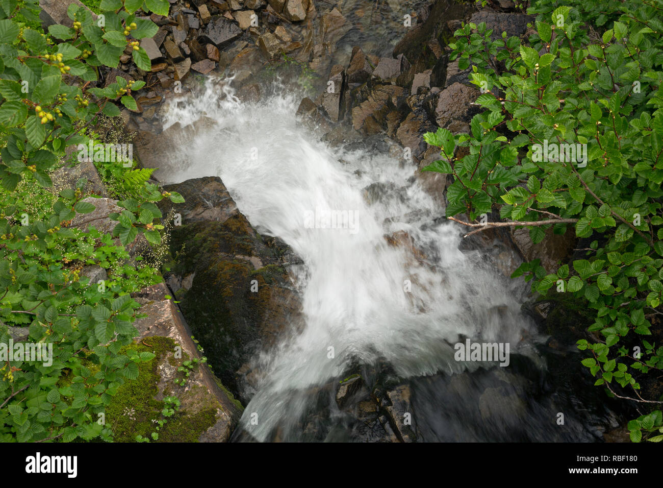 WA15708-00...WASHINGTON - Looking down on the lower section of Sunbeam Falls in Mount Rainier National Park. Stock Photo