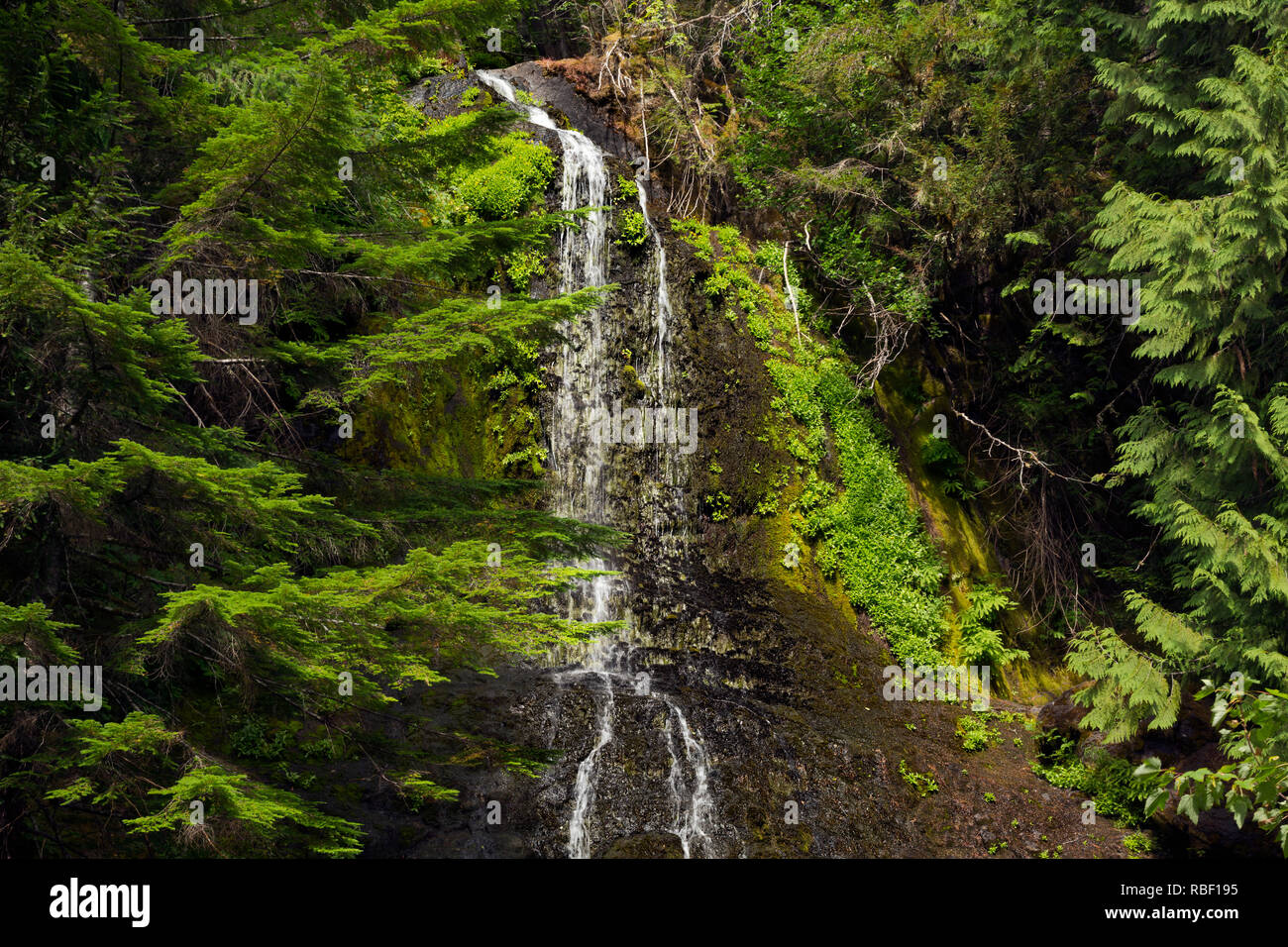 Stevens creek hi-res stock photography and images - Alamy