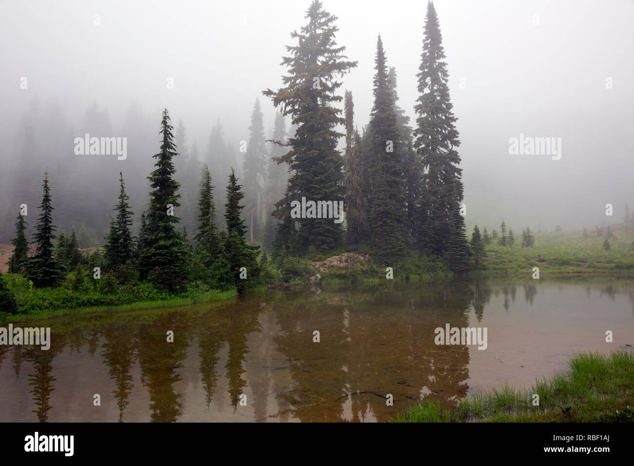 Chinook pass hi-res stock photography and images - Alamy
