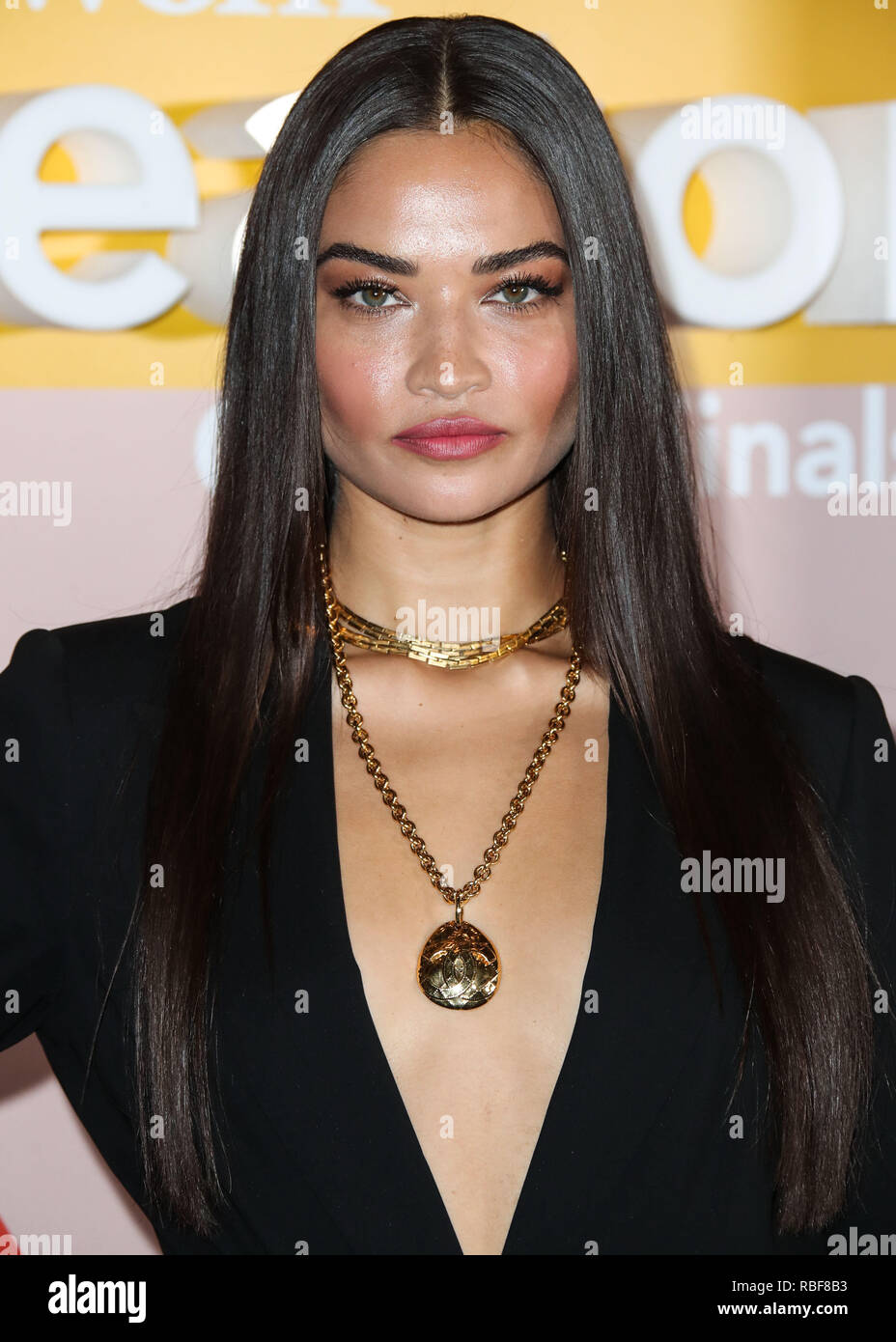 Los Angeles, California, USA. 9th January, 2019. Model Shanina Shaik