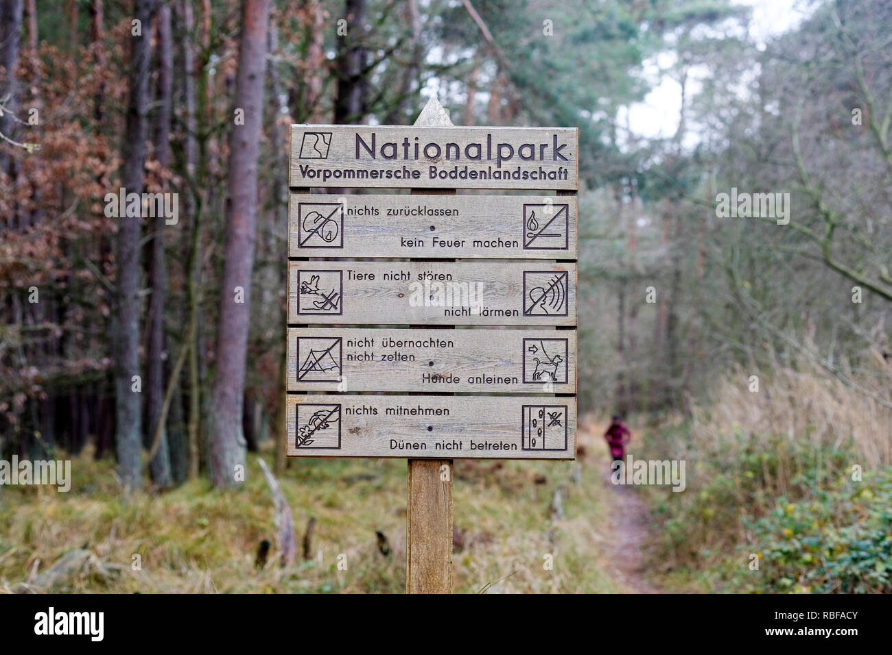 Prerow, Deutschland. 28th Dec, 2018. 28.12.2018, Mecklenburg-Vorpommern, Prerow: A wooden sign in the Vorpommersche Boddenlandschaft National Park indicates various prohibitions. To read is among other things 'no fire', 'not Larmen', 'not tents, not überbererten', 'leash dogs', take nothing 'and' Dunen not enter. 'Credit: Jens Kalaene/dpa central image/ZB | usage worldwide/dpa/Alamy Live News Stock Photo
