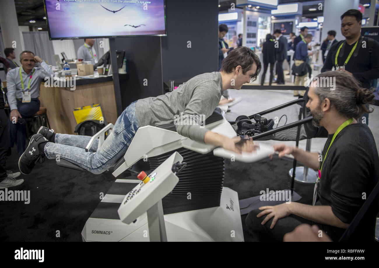 Las Vegas, Nevada, USA. 8th Jan, 2019. Feeling fly with a VR package in ...