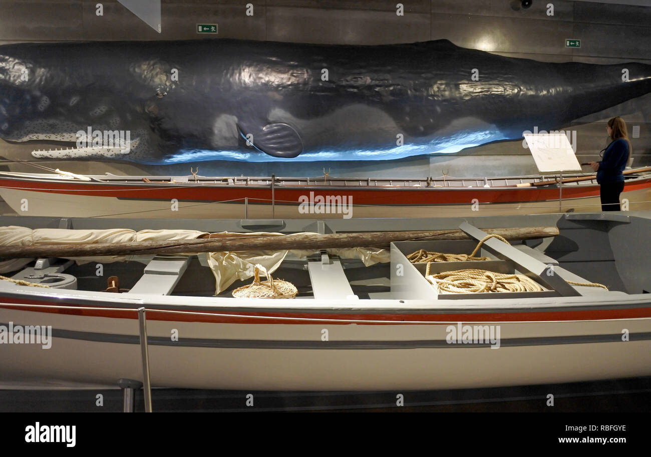 17 November 2018, Portugal, Funchal/Canical: A replica of a historic whaling boat is exhibited under a whale's mdell in the Whale Museum in Canial on the Portuguese island of Madeira. The Whale Museum is dedicated to the history of the whaling industry in Madeira. Photo: Holger Hollemann/dpa Stock Photo