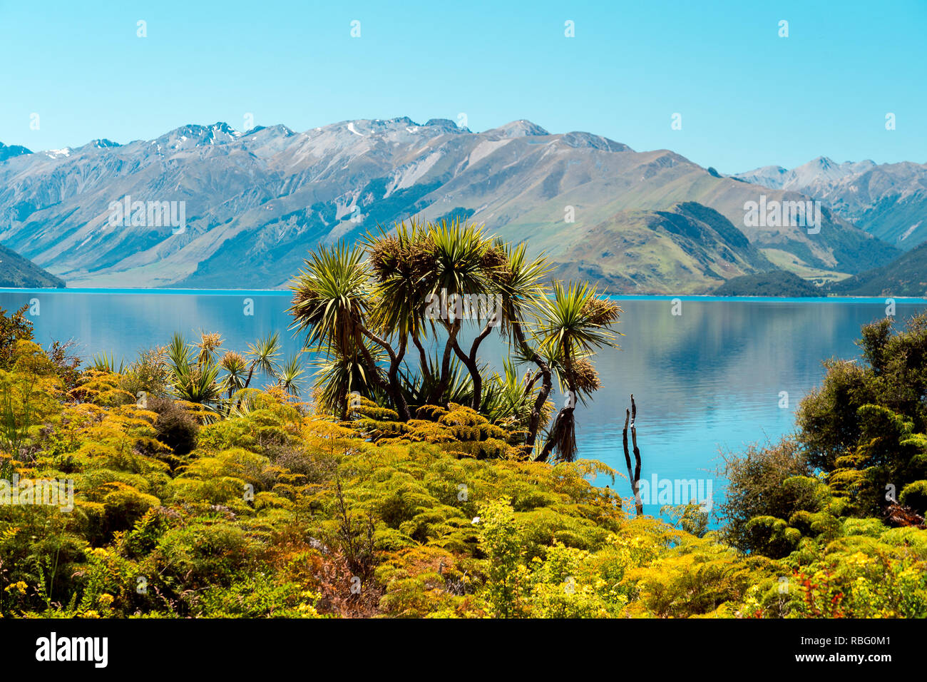 Lake Hawea lookout, New Zealand Stock Photo Alamy
