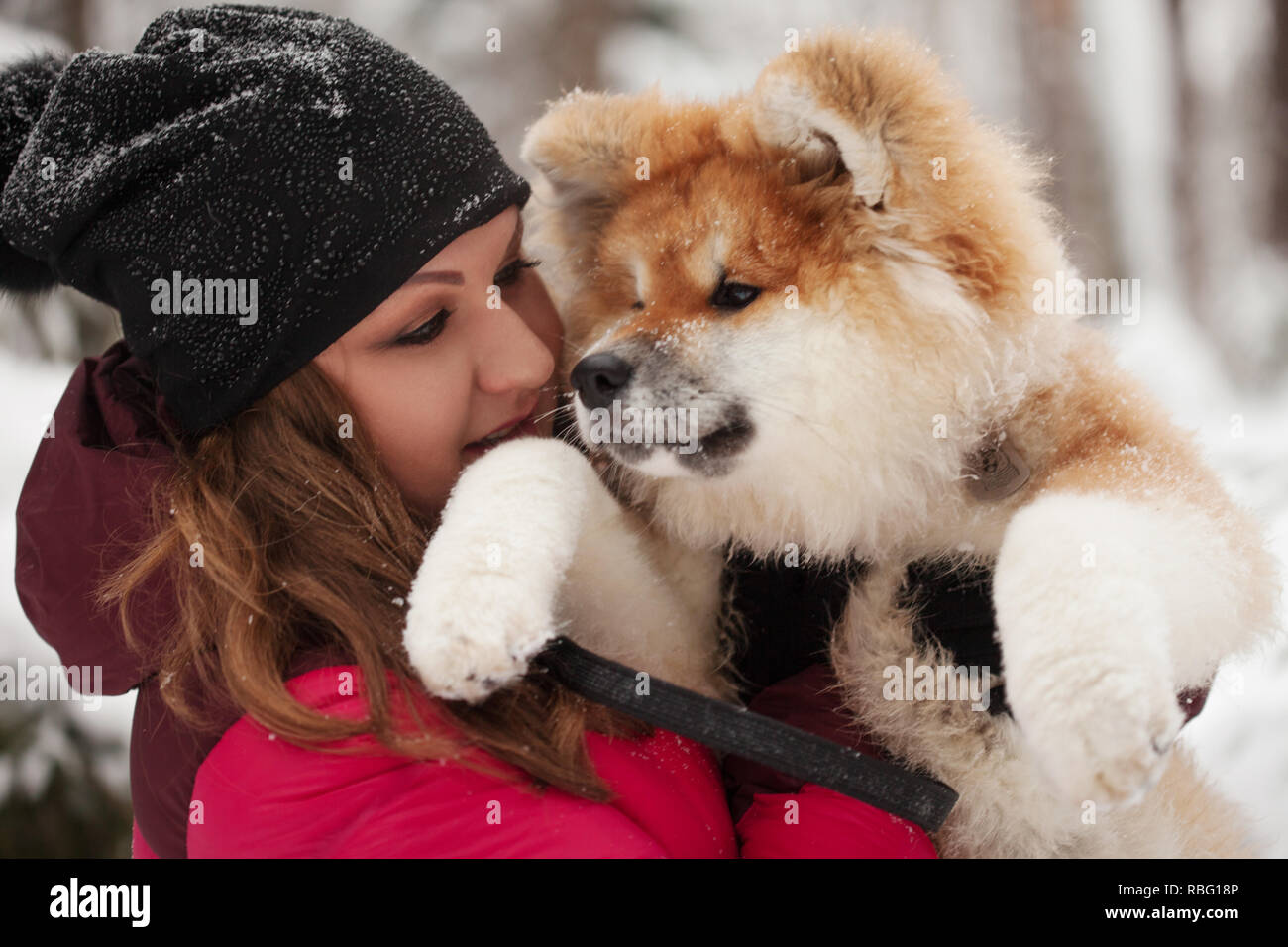 Long hair akita hot sale puppy