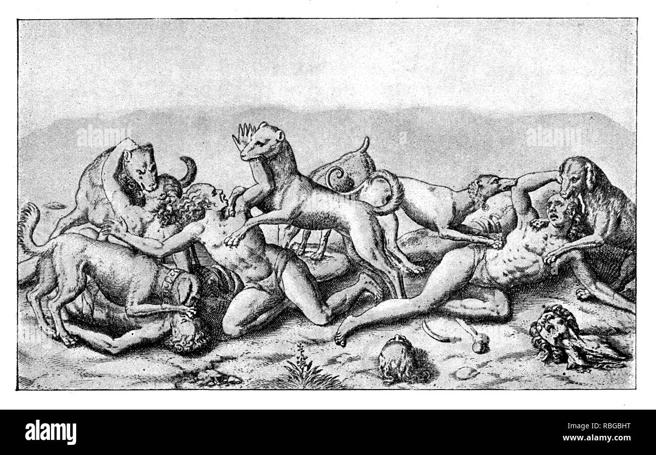 Conquest of the Inca empire by  Spanish conquistador Francisco Pizarro in XVI century: aborigines mauled by bloodhounds Stock Photo