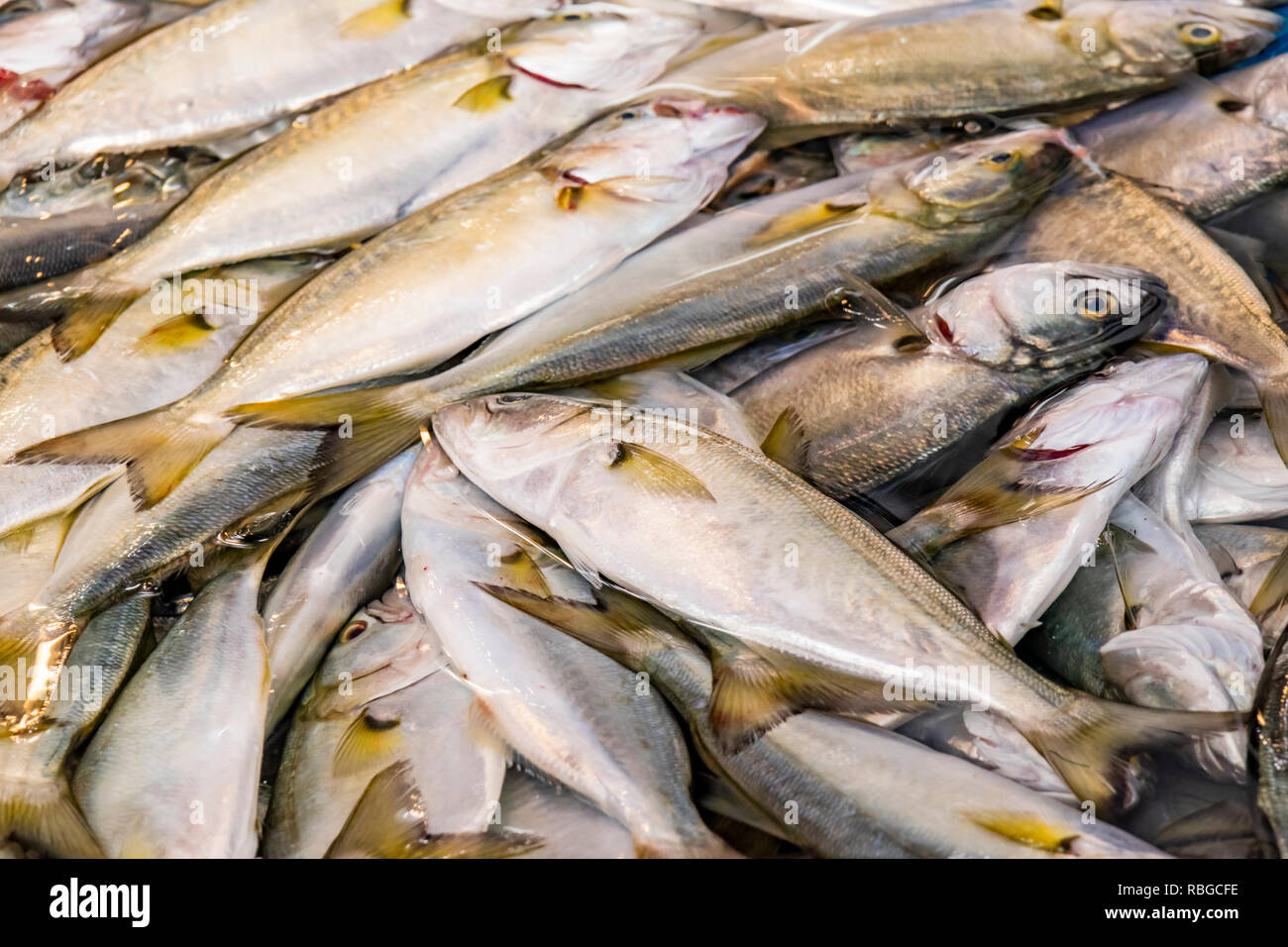 fresh fishes for sale in fish market Stock Photo Alamy